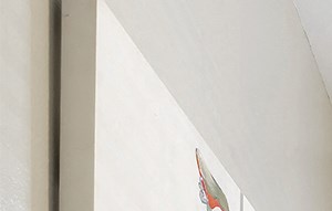 Apartments in Copperas Cove | Clear Creek Meadows